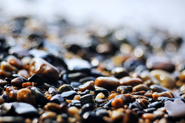 Pebble texture on the river bank