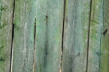 Fototapeta premium Background of green wooden fence.