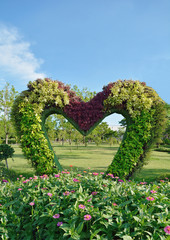 Beautiful decoration green tree heart form in the park in summer