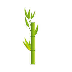 bamboo leaves icon over white background. colorful design. vector illustration