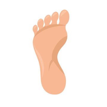 Toe Cartoon Images – Browse 13,840 Stock Photos, Vectors, and Video | Adobe  Stock