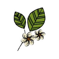 flower icon over white background. vector illustration