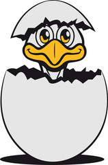 strauss emu küken ei schlüpft süss