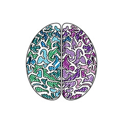 colorful human brain icon over white background. vector illustration