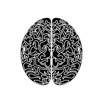 Human brain icon over white background. vector illustration