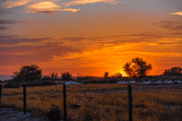 Bee Hives in Central California