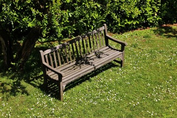 Empy bench in the shade of a pomegranate tree in an italian garden 