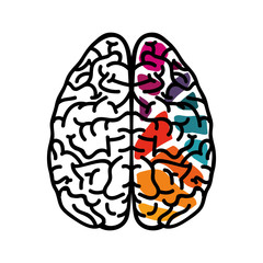colorful human brain icon over white background. vector illustration