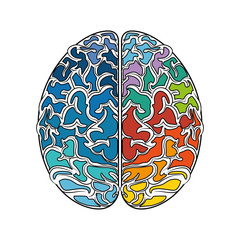 colorful human brain icon over white background. vector illustration