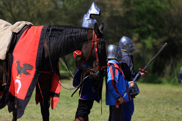Trzech rycerzy stoi przy koniu na polanie. - obrazy, fototapety, plakaty
