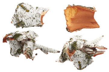 Birch bark on white isolated background