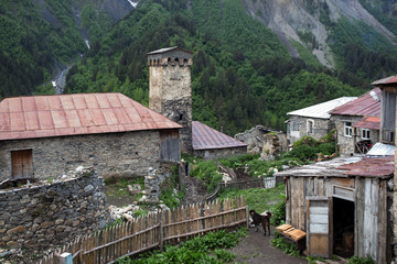 Fototapeta na wymiar Adishi village in Svaneti, Georgia