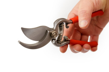 Pruning Shears