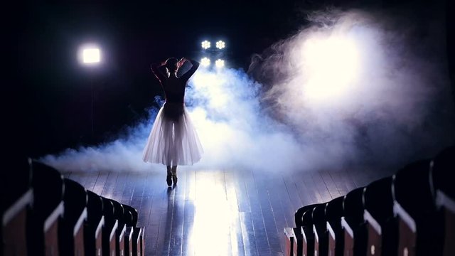 In the theatre the silhouette of the ballerina dancing. Slow motion. HD.