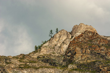 Fototapeta premium The rocks on the background of cloudy sky. Lichen on the rocks. Spruce.
