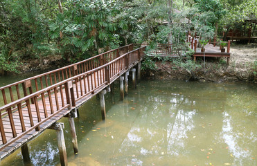 Brown wooden bridge over the canal leads to a small village, countryside of Thailand 