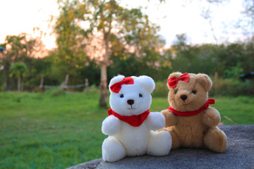Teddy bears couple in a garden