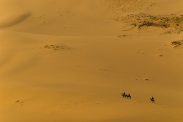 Fototapeta na wymiar Lonely camel rider in the Gobi desert
