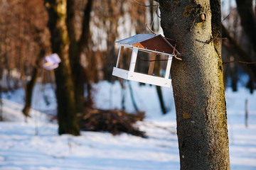 bird feeders. tree house for the birds, cheerful apartment