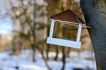bird feeders. tree house for the birds, cheerful apartment