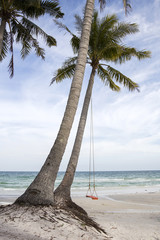 Swing on a tropical beach