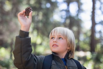 Little boy looking at pine cone in forest