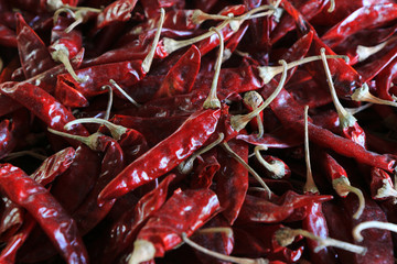 Lots of dried chilli on threshing basket.