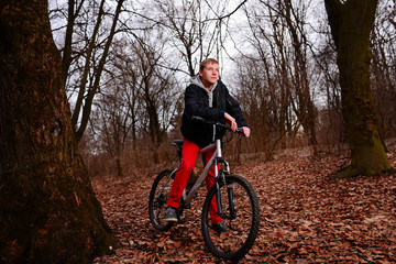 Obraz premium Cyclist Riding the Bike on a Trail in Summer Forest