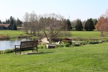 The green field and landscape of the park.