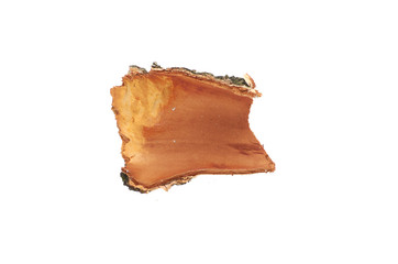 Birch bark on white isolated background