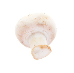 Fototapeta premium White mushrooms champignons
