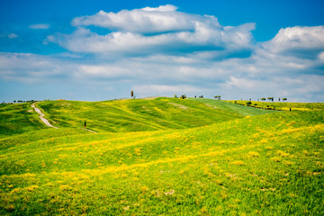 Obraz premium Paysage du Val d'Orcia en Toscane