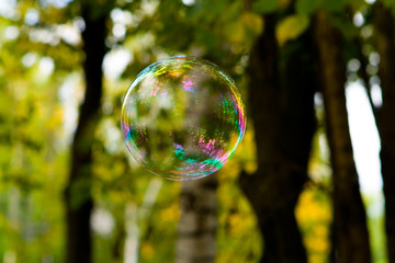 A soap bubble with beautiful reflections flies through the air.