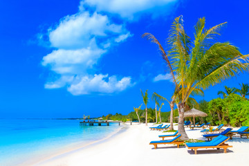 Fototapeta na wymiar Dreamscape Escape On Maldives
