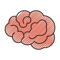 Human brain symbol icon vector illustration graphic design