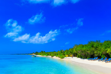 Dreamscape Escape On Maldives