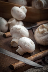 Freshly harvested mushrooms.