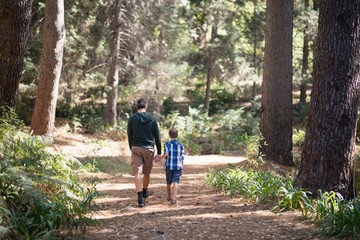 Naklejka premium Father and son walking in forest on sunny day