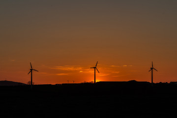 Sunset Windmills