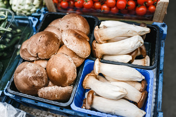 group of various mushrooms, on the display counter in the market
