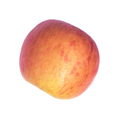 Red and yellow apple isolated on white background. Pink apple Fuji cut in half.