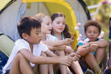 Friends holding candies by tent at campsite © WavebreakMediaMicro