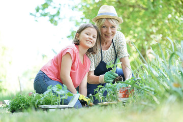 Grandmother and granddaughter gardening together