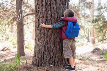 Rear view of boy embracing tree in forest