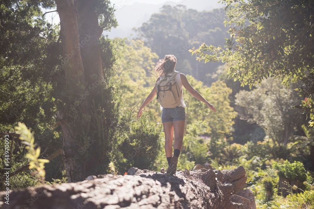 Wall mural rear view of female hiker walking on log in forest