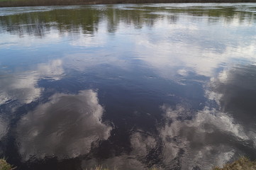 reflection in water