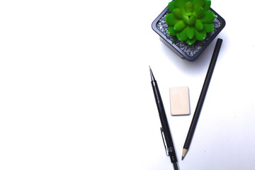 Pencils and cactus lie on the desktop