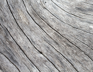 Fototapeta premium Natural wood background. Pale grey weathered timber closeup