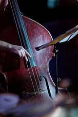 Double bass on the stage