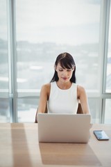 Attentive executive using laptop at desk